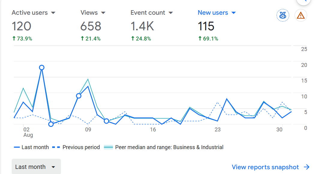 Lonestar Pools Google Analytics for August 2026 showing 120 active users